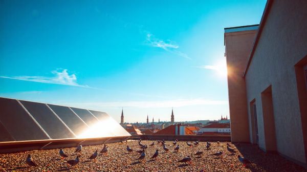 Meilleures options pour économiser avec des panneaux solaires à Lyon